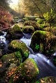 paysage 20_11_11n02bis